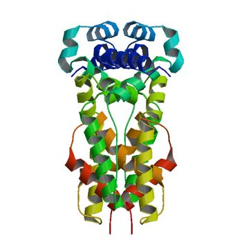 The crystal structure of the transcriptional regulator (TetR family) from Bacillus cereus (2FQ4)