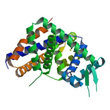 Crystal structure of putative transcriptional regulator protein from Pseudomonas aeruginosa PA01 at 2.4 A resolution (2HR3)