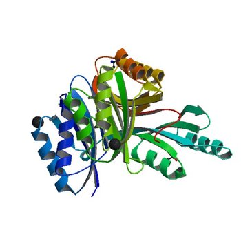 Crystal structure of putative acetolactate synthase- small subunit from Nitrosomonas europaea (2PC6)