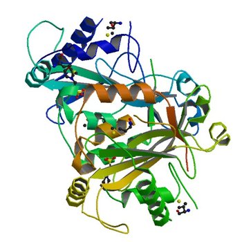 Protein cgd2_2020 from Cryptosporidium parvum (2PD0)