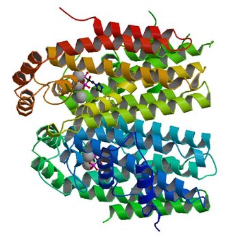 Cryptosporidium parvum putative polyprenyl pyrophosphate synthase (cgd4_2550) in complex with zoledronate (2Q58)