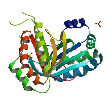 Crystal structure of the RPA0582- protein of unknown function from Rhodopseudomonas palustris- a structural genomics target (3DCA)