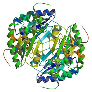 Crystal structure of N-carbamoylsarcosine amidase from thermoplasma acidophilum (3EEF)