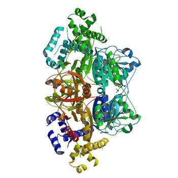 Crystal structure of PA01 protein, putative LysR family transcriptional regulator from Pseudomonas aeruginosa (3FZV)