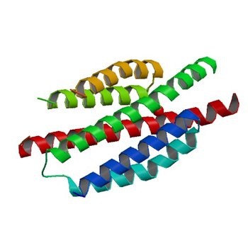 Crystal structure of flagellar protein FliT from Bordetella bronchiseptica (3H3M)