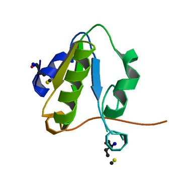 Crystal Structure of Rhodanese-like Domain Protein from Staphylococcus aureus (3MZZ)