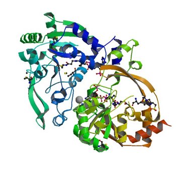 Crystal structure of BA2930 mutant (H183A) in complex with AcCoA (3N0S)