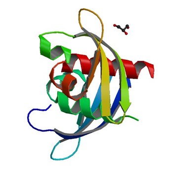 Drosophila HP1a chromo shadow domain (3P7J)