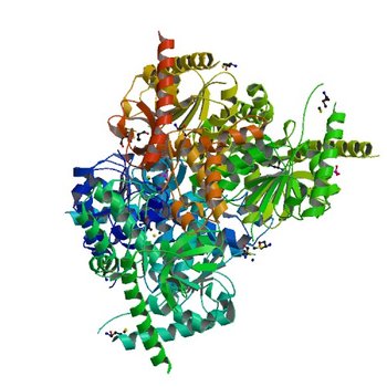 Structure of putative lactate dehydrogenase from Francisella tularensis subsp. tularensis SCHU S4 (3P7M)