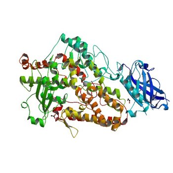 Soybean lipoxygenase-1 - re-refinement (3PZW)