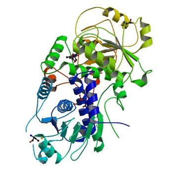 Crystal Structure of Mouse Apolipoprotein A-I Binding Protein in Complex with Thymidine (3ROE)