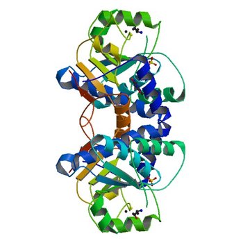 Crystal Structure of Mouse Apolipoprotein A-I Binding Protein in Complex with Theophylline (3ROX)