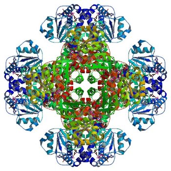 Crystal structure of tm0922, a fusion of a domain of unknown function and ADP/ATP-dependent NAD(P)H-hydrate dehydratase from Thermotoga maritima soaked with NAD and ATP. (3RTC)