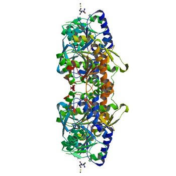 Crystal Structure of N-acetyl-L-glutamate kinase from Yersinia pestis (3T7B)