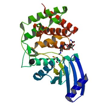 Crystal structure of aminoglycoside phosphotransferase APH(4)-Ia (3TYK)