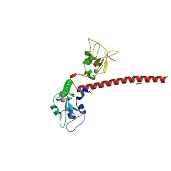 Crystal structure of human Survivin bound to histone H3 (C2 space group). (3UEF)