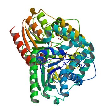 Crystal Structure of the putative alpha/beta hydrolase RutD from E.coli (3V48)