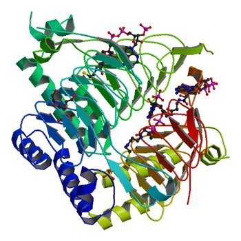 Crystal Structure of the galactoside O-acetyltransferase in complex with CoA (3V4E)