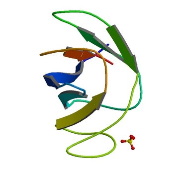 Crystal structure of the selenomethionine variant of the C-terminal domain of Geobacillus thermoleovorans putative U32 peptidase (4HE5)