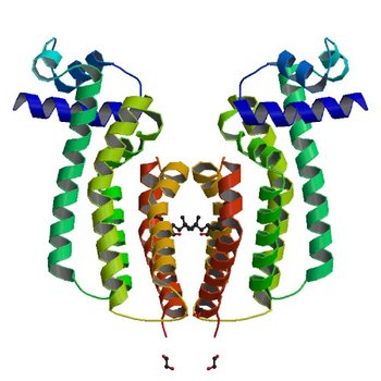 Crystal structure of transcriptional regulator TM1030 with octanol (4I76)