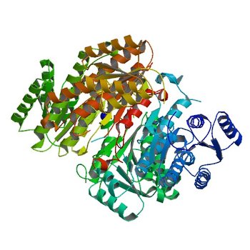 Crystal structure of a putative 3-oxoacyl-[acyl-carrier protein]reductase from Helicobacter pylori 26695 (4IJK)