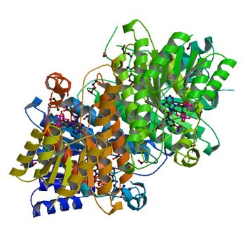 Crystal structure of BPRO0239 oxidoreductase from Polaromonas sp. JS666 in NADP bound form (4IQG)