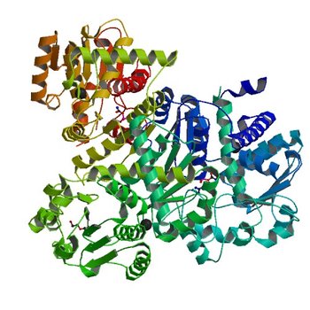 Crystal structure of anabolic ornithine carbamoyltransferase from Vibrio vulnificus in complex with carbamoylphosphate and arginine (4JHX)