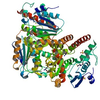 Crystal structure of Tfu_1878, a putative enoyl-CoA hydratase from Thermobifida fusca YX (4JSB)