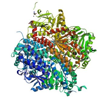 Crystal structure of enoyl-CoA hydratase from Thermoplasma volcanium GSS1 (4JYL)