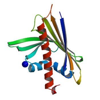 Crystal Structure of Ara h 8 with MES bound (4M9W)