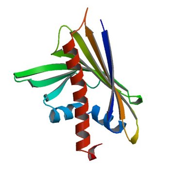 Crystal structure of Ara h 8 purified with heating (4MAP)