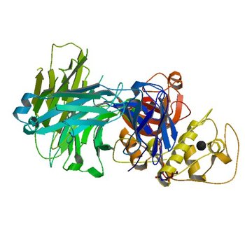 The crystal structure of Der p 1 allergen complexed with Fab fragment of mAb 10B9 (4PP2)