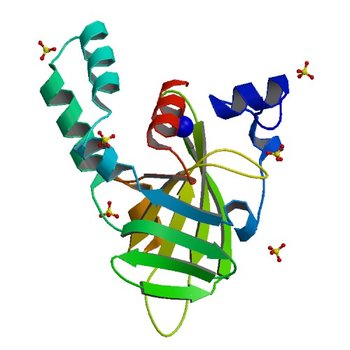 Crystal structure of Escherichia coli protein YodA in complex with Ni - artifact of purification. (4TNN)