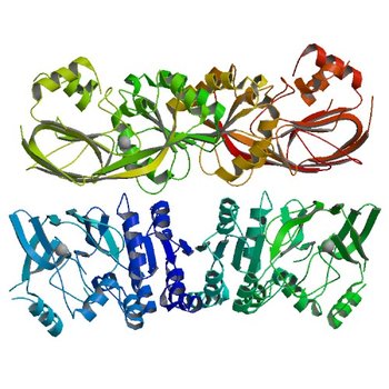 A putative diacylglycerol kinase from Bacillus anthracis str. Sterne (4WRR)