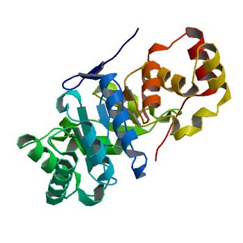 Crystal structure of aldo-keto reductase from Sinorhizobium meliloti 1021 (4XAP)