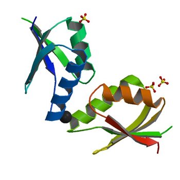 Crystal structure of cisplatin bound to a human copper chaperone (dimer) - new refinement (4YEA)