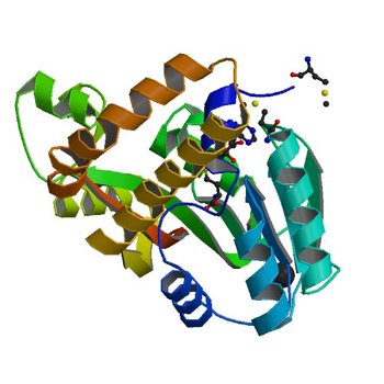 Crystal structure of SAM-dependent methyltransferase from Geobacter sulfurreducens in complex with S-Adenosyl-L-homocysteine (5BP7)