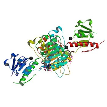 Crystal structure of NADP-dependent 2-hydroxyacid dehydrogenase from Sinorhizobium meliloti in complex with 2'-phospho-ADP-ribose (5J23)