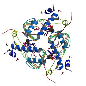 Crystal structure of Galactoside O-acetyltransferase complex with CoA (H3 space group) (5U2K)