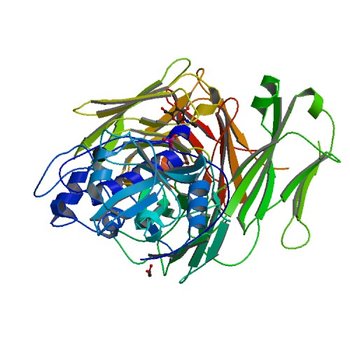 THE CRYSTAL STRUCTURE OF DER P 1 ALLERGEN COMPLEXED WITH FAB FRAGMENT OF MAB 5H8 (5VCN)