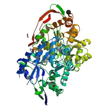 Crystal structure of dihydroorotase pyrC from Vibrio cholerae in complex with zinc at 1.95 A resolution. (5VGM)