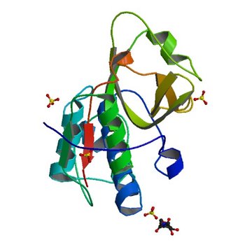 CRYSTAL STRUCTURE OF MITE ALLERGEN DER F 1 (5VPK)