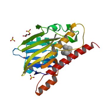 Native FEZ-1 metallo-beta-lactamase from Legionella gormanii (5WCK)