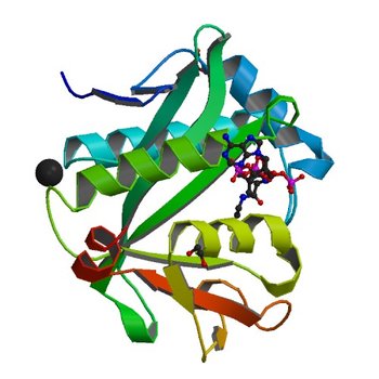 Structure of a GNAT superfamily acetyltransferase PA3944 in complex with CoA (6EDV)