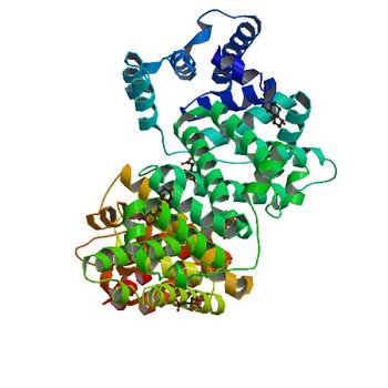 Crystal structure of equine serum albumin in complex with testosterone (6MDQ)