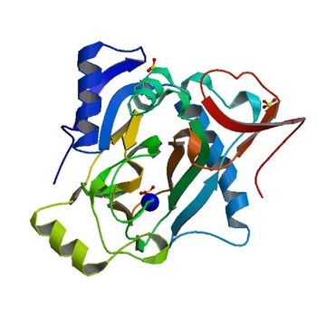 The crystal structure of kanamycin B dioxygenase (KanJ) from Streptomyces kanamyceticus in complex with nickel, sulfate, soaked with iodide (6S0T)