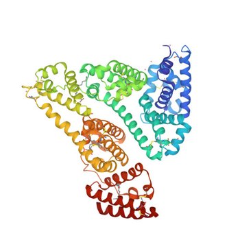 Human Serum Albumin with Cobalt (II) and Myristic Acid - crystal 2 (8EW7)